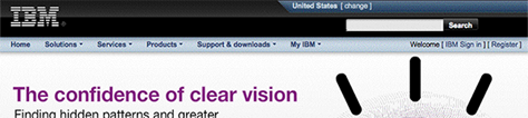 Even a Web environment as large as IBM.com has a persistent simple search entry box.